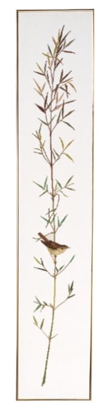 Striscia Cannareccione I