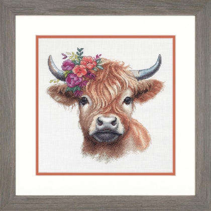 Mucca delle Highlands