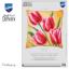Cuscino - Tulipani
