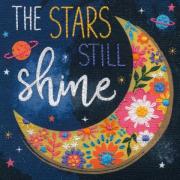 Le stelle brillano
