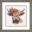 Mucca delle Highlands