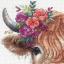 Mucca delle Highlands