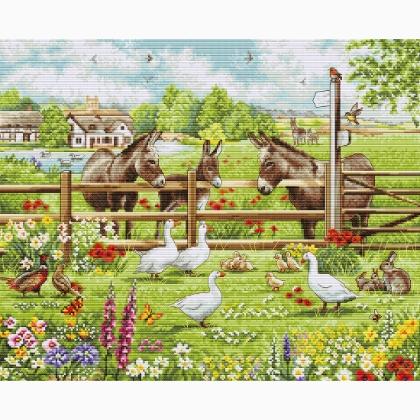 Donkeys\' Yard