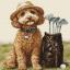The Master Golfer