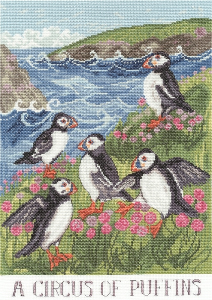 A Circus Of Puffins
