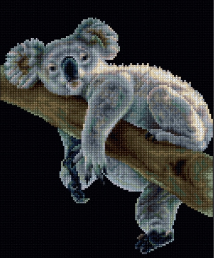 Koala - Nero