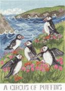 A Circus Of Puffins