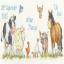 Farmyard Welcome