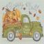 The Pumpkin Patch