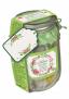 Kit Cucito in vasetto - Verde