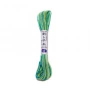 Filo per Sashiko Verde Multicolor