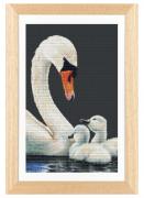 Swans and Signets - Aida Nero