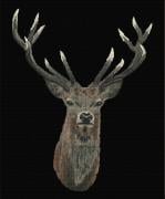 Red Deer - Nero