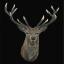 Red Deer - Nero