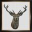 Red Deer - Lino