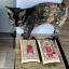 Cat Tarot IV - The Emperor