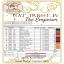 Cat Tarot IV - The Emperor