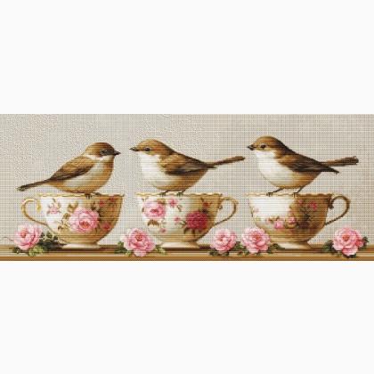 Three Dainty Birds
