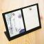 Sabae Acetate - Needle Minder - Rigato