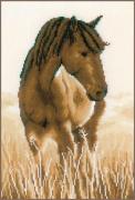 Cavallo