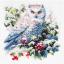 Snowy Owl
