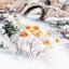 In Winter dreams