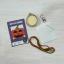 Jack of all Lanterns