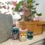 Owl Family