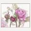 Peonies - Delight