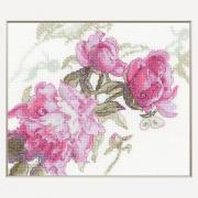 Peonies - Wisper
