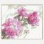 Peonies - Wisper