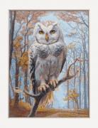 Wildwood Owl