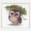 Raindrop Owl