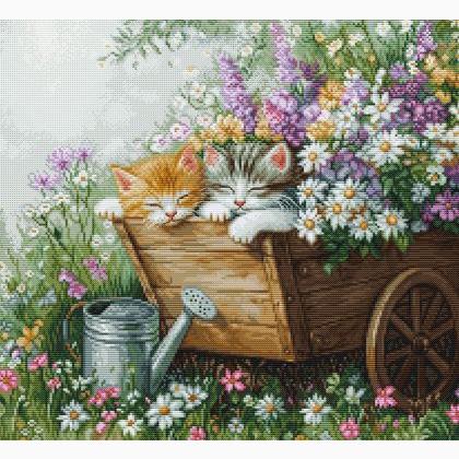 Kittens\' Sleep