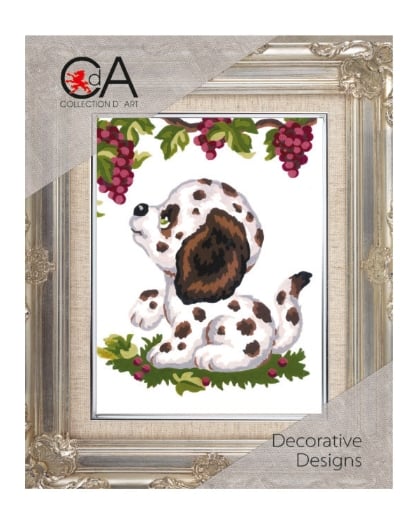 Dalmatian Puppy