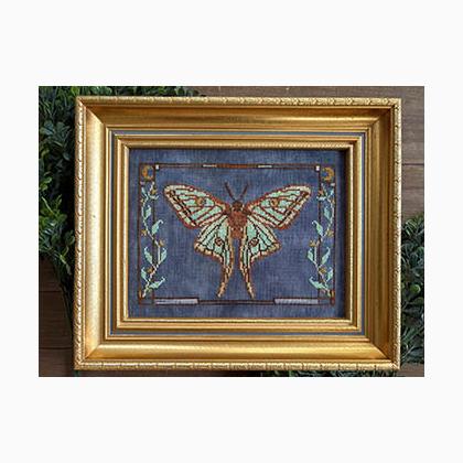 Spanish Moon Moth
