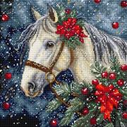 Cavallo d'inverno