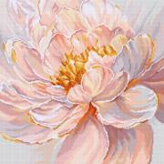 Grazia Florale