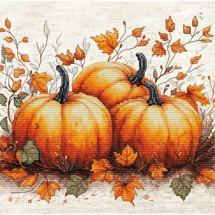 Autumn Pumpkin