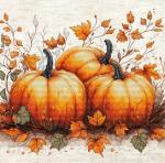 Autumn Pumpkin