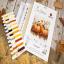 Autumn Pumpkin