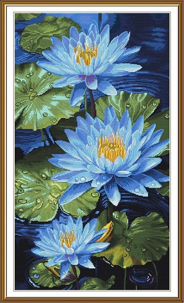 Fiori di loto blu