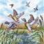 Flying Ducks