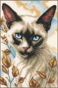 Gatto Siamese