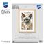 Gatto Siamese