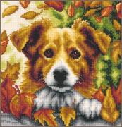 Cane in autunno