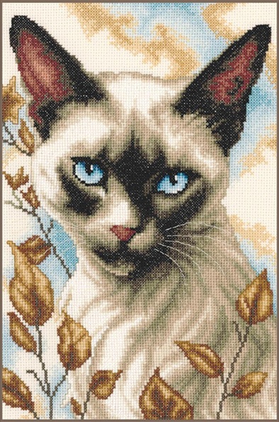 Gatto Siamese