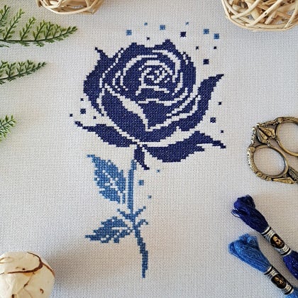 Blue rose