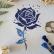 Blue rose
