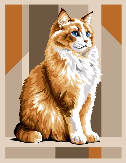 Main coon roux